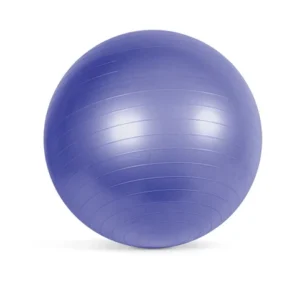 10inch Yoga Ball Exercise Anti Burst Fitness Balance Workout Stability With Pump